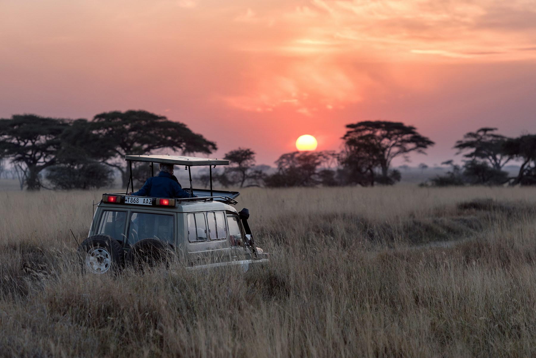 Een savannelandschap met acaciabomen bij zonsondergang